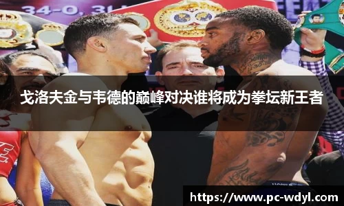戈洛夫金与韦德的巅峰对决谁将成为拳坛新王者